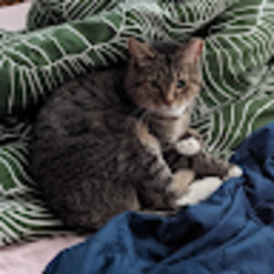 Meet your Posher, Knitbelove